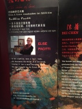 elisepacitti - EXPOSITION  A PEKIN