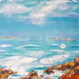 Côte de Belle Ile - MARINES 2022